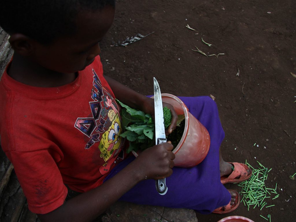 det_goer_vi_arbejdet_ude_i_verden_barn_fra_afrika_snitter_groentsager